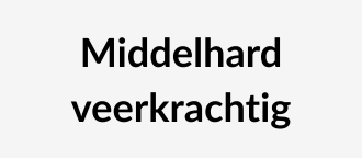 Futon middelhard - veerkrachtig